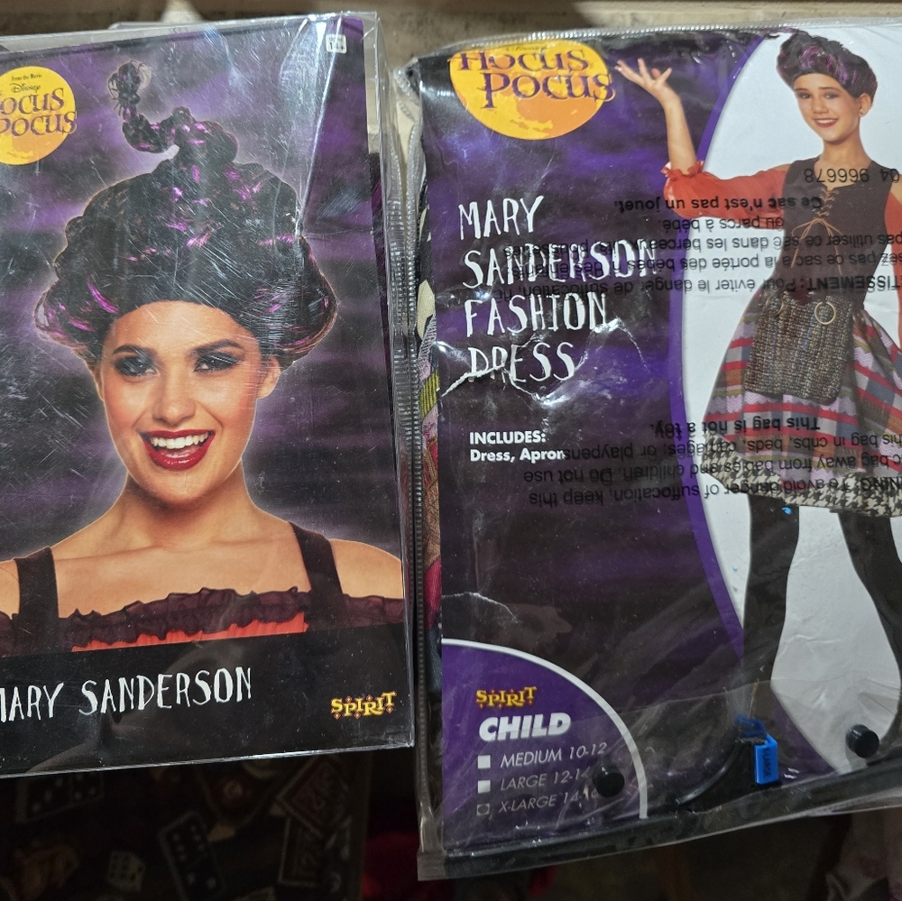 Spirit Mary Sanderson Costume for Kids